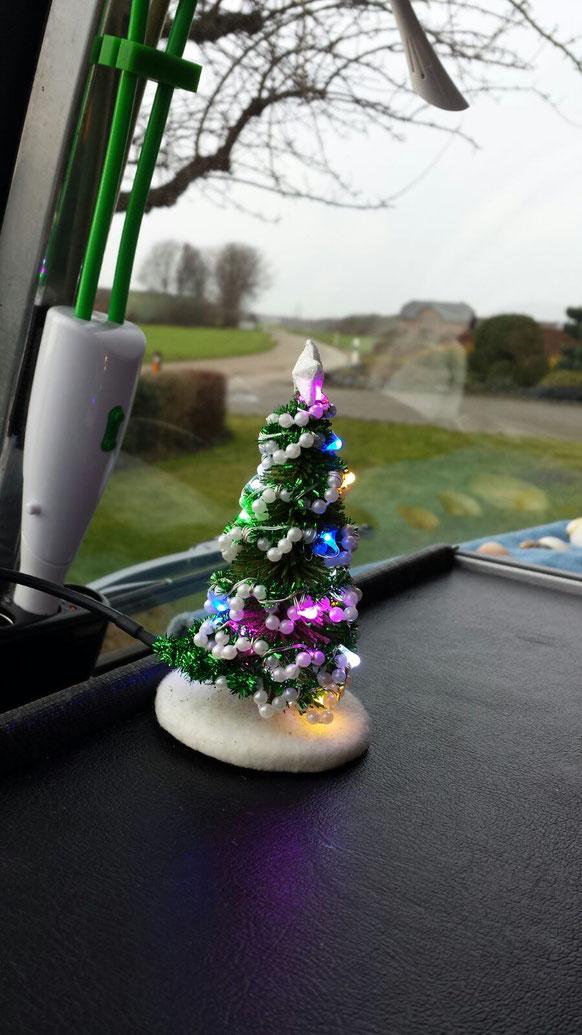 Mit diesem wunderschönen Weihnachtsbaum beginnt unsere Reise