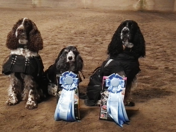 Successful at the Rally Obedience Competition in Fahrenkrug. Photo: Sebastian Feilke