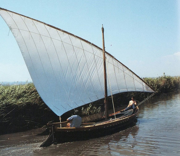 En la albufera las barcas se mueven gracias al viento y a  la vela latina. La Albufera es un hermoso parque natural y lago de agua dulce situado a pocos kilómetros de Valencia ciudad. 