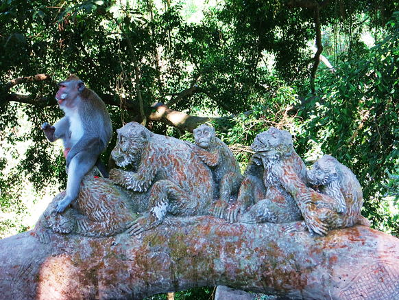 Im Sacred Monkey Forest in Ubud