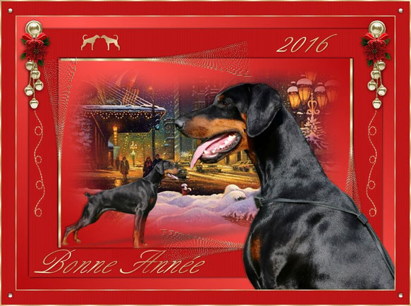 ELEVAGE DELLA GUARDIA NERA VOUS SOUHAITE UNE TRES BONNE ANNEE 2016