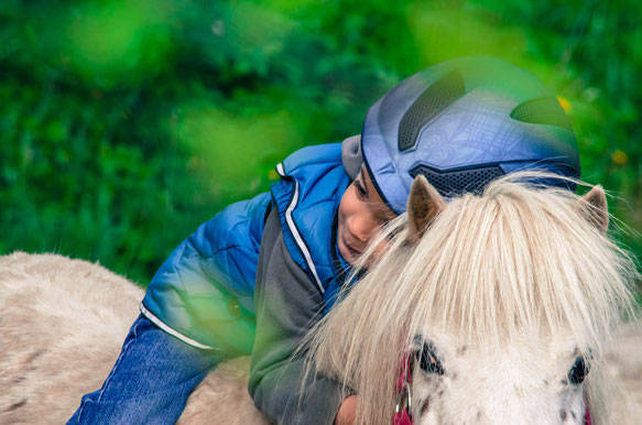 Bei uns können Sie Ponyreiten, MUKI Reiten, Pony Nachmittage verbringen und mit den Ponys einen Familienausflug unternehmen oder die Ponys füttern, die Ponys liebhaben, die Ponys putzen, die Ponys führen. Bei uns können Sie auch eine Menge über Ponys sehe