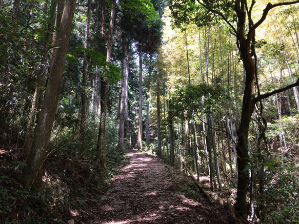兎田の高城(筆者撮影)