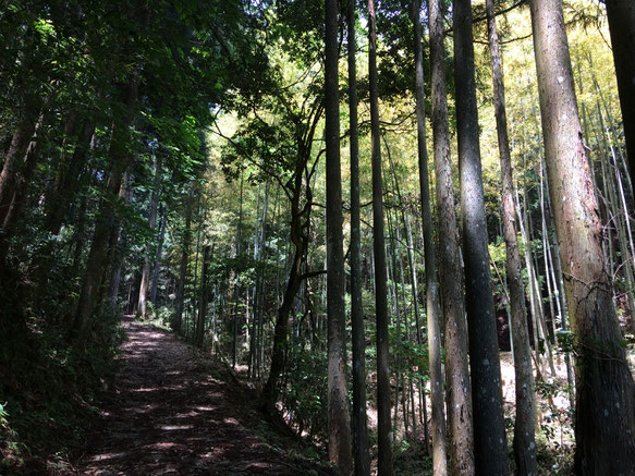 兎田の高城(筆者撮影)