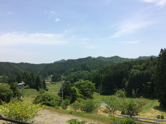 桜實神社より見渡す風景(筆者撮影)