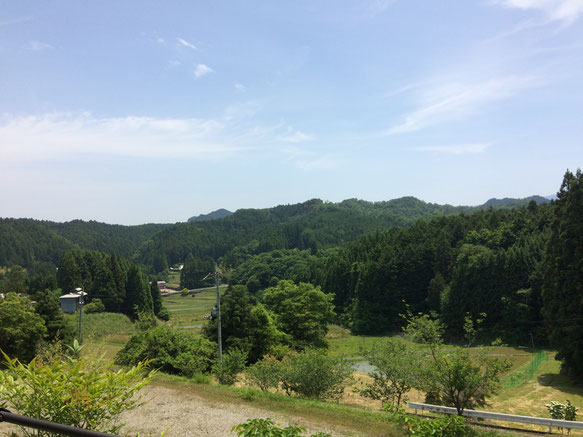 桜實神社より見渡す風景（筆者撮影）