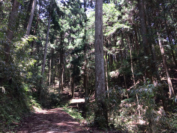 兎田の高城(筆者撮影)