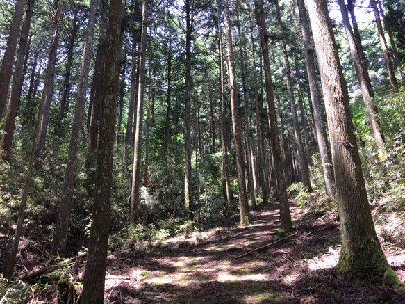 兎田の高城(筆者撮影)