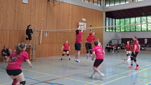 Volleyballturnier um den Krakauerpokal