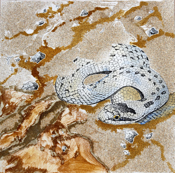 Serpente avokes - pen with sandstructure on paper - 40 x 40 cm 