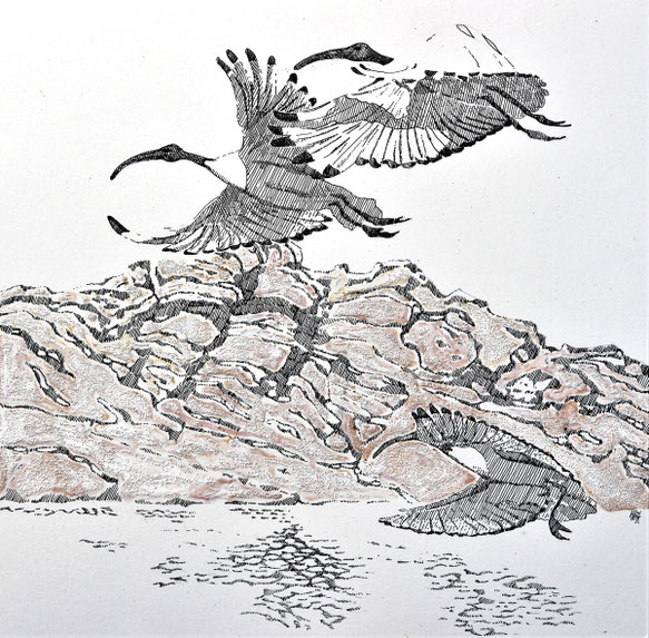 Study for Ibeses alight on Luxor - pen with sandstructure on paper - 40 x 40 cm