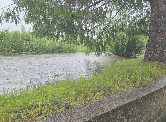 (Bild: feuerwehr-bubikon.ch)