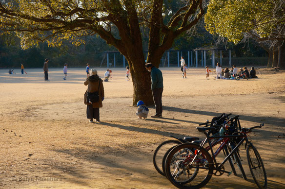 公園で和む３人の親子連れ。