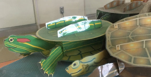 亀 - Paper Nature（ペーパーネーチャー）