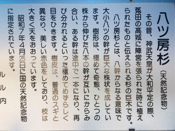 桜實神社(筆者撮影)