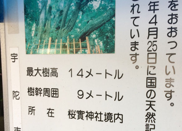 桜實神社(筆者撮影)
