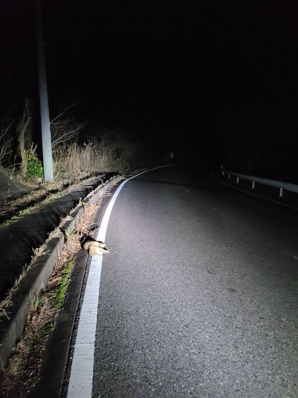 事故発生場所