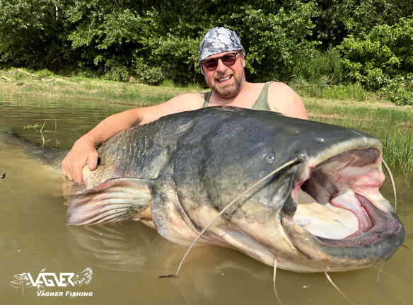 Vagner Fishing – Macht sich ein Wels auf dem Panoptix Echolot bemerkbar, passen wir sofort die Tiefe an, um in sein Blickfeld zu gelangen. Tight Lines Peter Merkel