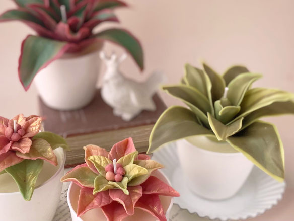 CLABワックスプラントキャンドルクラス - 関西【奈良・生駒】韓国