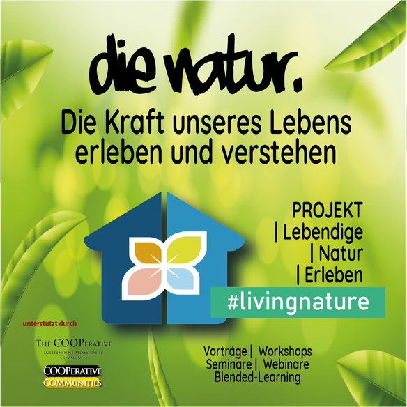 Mit einem Klick auf den Banner leiten wir Dich auf die Projektseite weiter...
