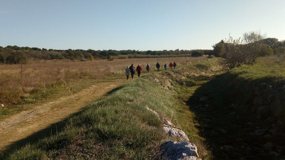 La marche de Randos Canétoises du 14 onovembre 2017 a Canet vers le mas Llauro
