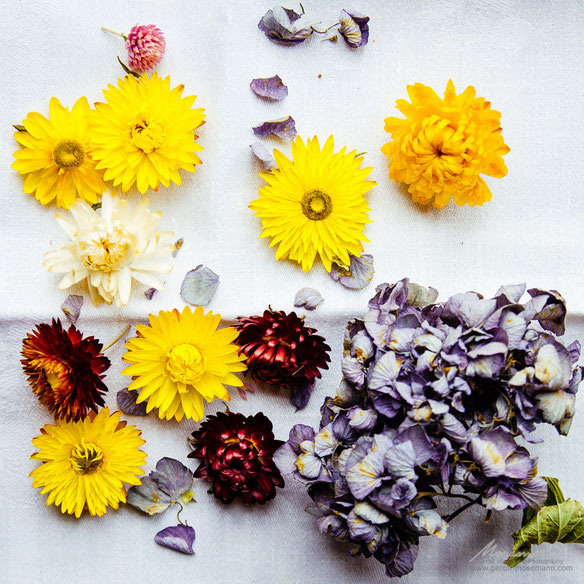 The colors yet remain: dried flowers. 