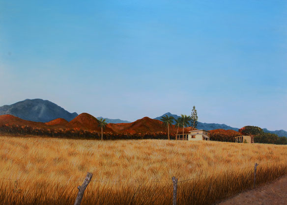 peinture-hyperrealisme-paysage-nouvelle-caledonie-champ-collines-mont-kopeto-cocotiers-pin-colonnaire-roussel-meric-art