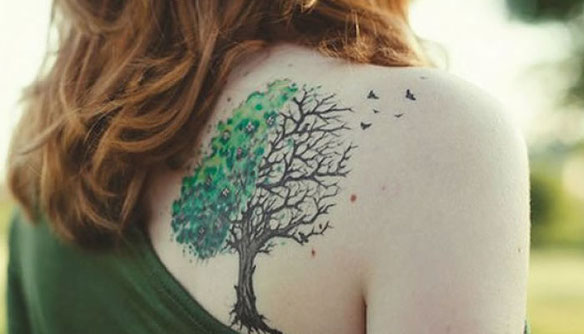 Dibujo que representa metafóricamente el ciclo de la vida a través de los estados del árbol.