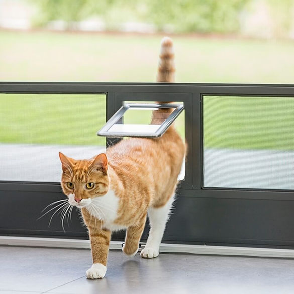 Reißfestes Gewebe und Katzenklappe in einer Fliegengittertür