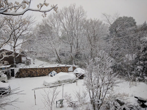 仲本律子　陶芸作家　ブログ　女性陶芸家　茨城県笠間市 　雪が降った日　雪景色