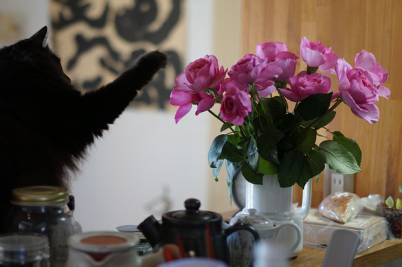 仲本律子　陶芸作家　ブログ　女性陶芸家　茨城県笠間市 　花　猫　猫パンチ