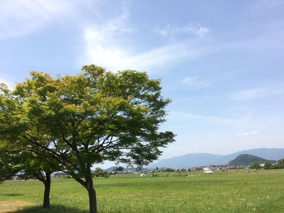 藤原京跡(筆者撮影)
