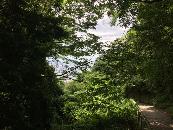 暗峠(筆者撮影)