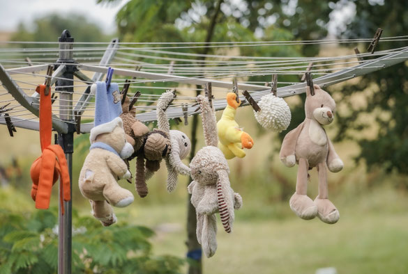 De overgebleven knuffels die 15 weken puppiegeweld hebben doorstaan.. gewassen en klaar om nog een rondje mee te gaan. 
