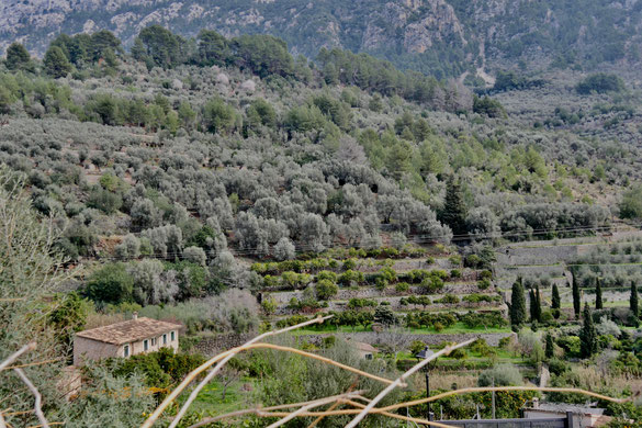 Impressionen Mallorca