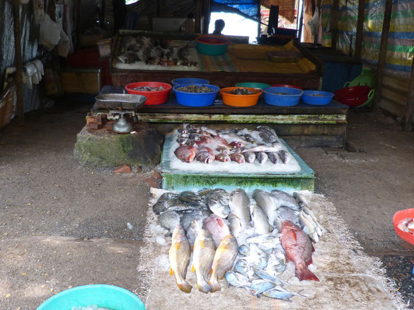 Fischstand in Kochi