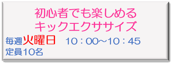 キックボクササイズ　エアロビクス　体操教室　ダイエット教室