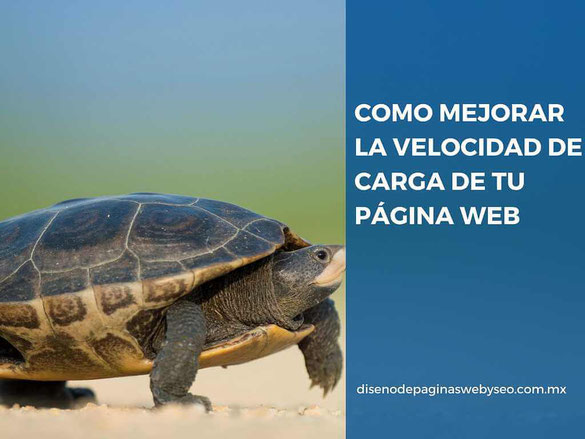 cómo mejorar la velocidad de carga de mi web - diseño de paginas web - paginas web - página web