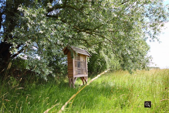 4 Sterne Hotel für Insekten    -  Foto: A. Bürgener