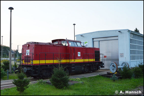 Die WFL-Lok 203 117-7 war eine Zeit lang an die RISS ausgeliehen. Am 31. August 2017 konnte die Lok am AW Chemnitz, vorm RISS-Schuppen gesichtet werden. Sie trägt sogar eine Beklebung der Regio Infra Service Sachsen GmbH 