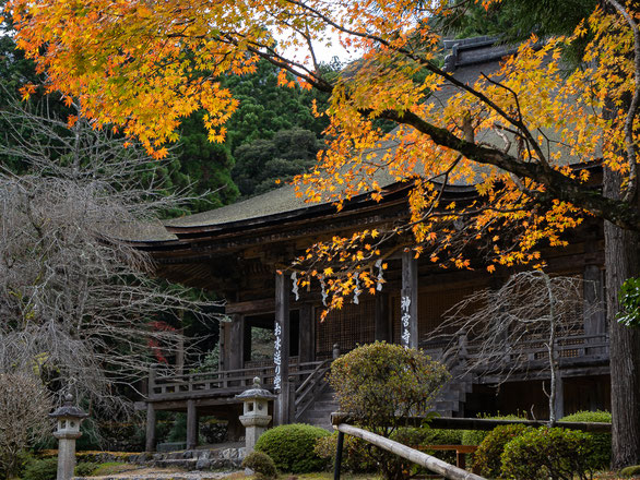 Jinguji Temple in autumn