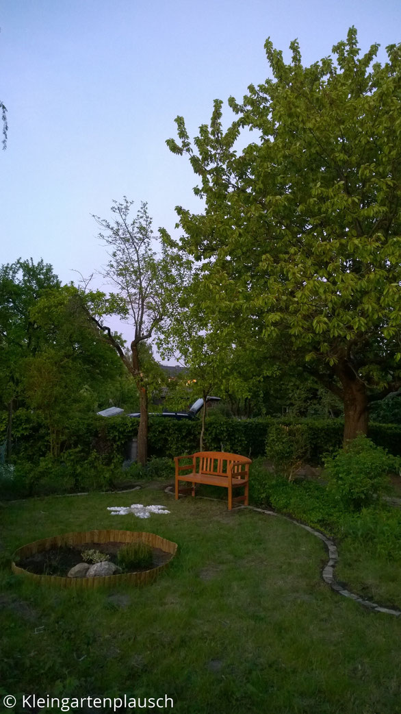 Blick in den Garten mit kleinem Heidebeet, Steinblume, Gartenbank
