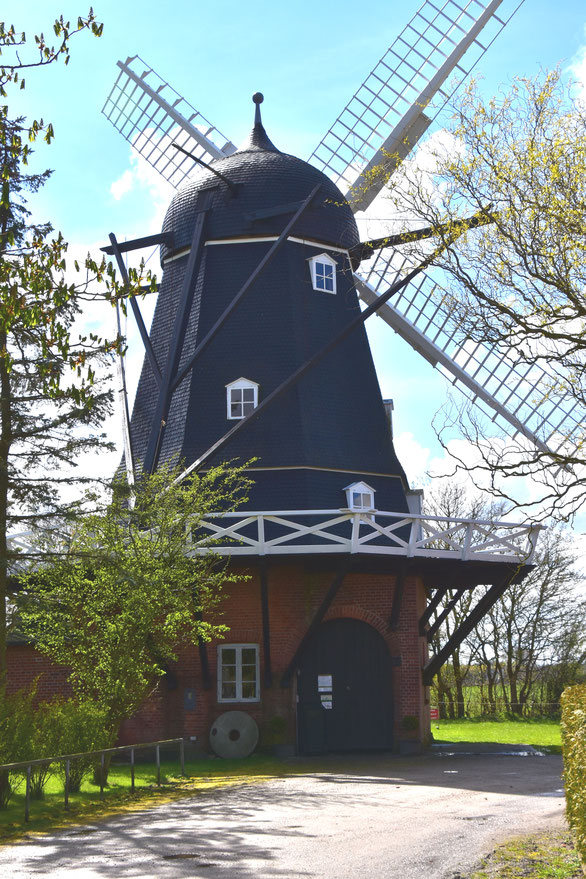 Windmühle Saksköbing