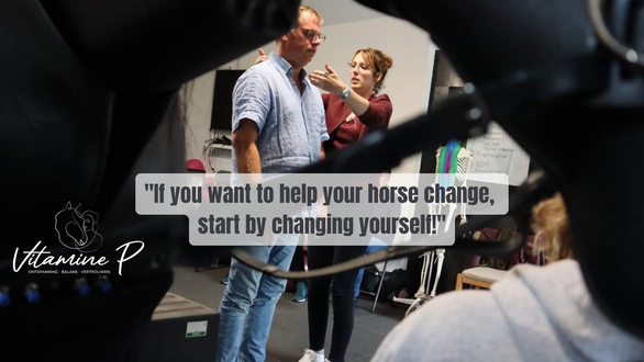 If you want to help your horse change, start by changing yourself