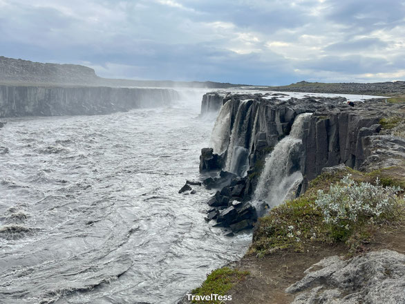 Selfoss