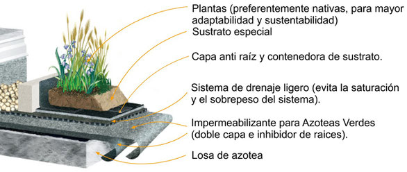 Diagrama Azotea Verde