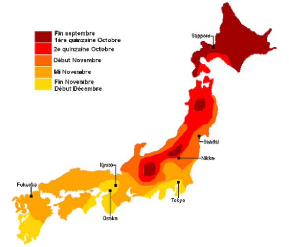 Rougissement des feuilles - prévisions 2017 - Crédit image : japan-guide.com