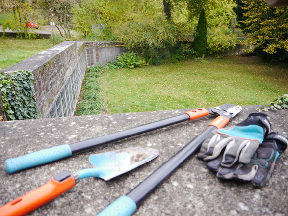 Herbst 2019: Gartenarbeit um das QuäkerHaus herum . - Der Plan: es soll ein Paradies werden.