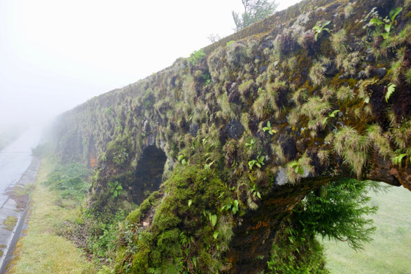 Nebel über der Caldeira das Sete Cidades, Sao Miguel, Azoren
