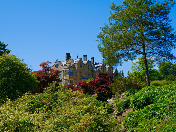 Scotney Castlein der Grafschaft Kent ist umgeben von Wald und Rhododendron